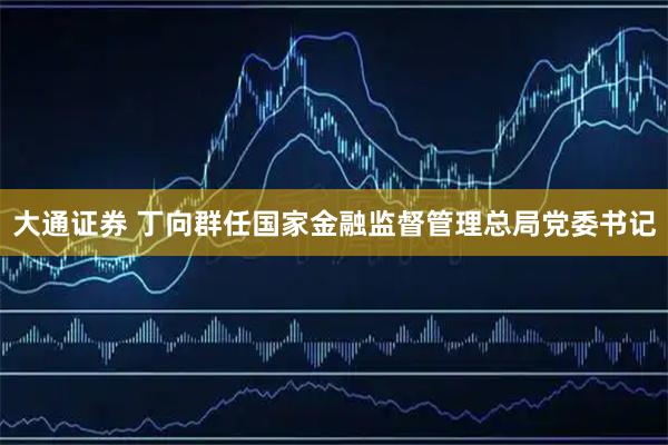 大通证券 丁向群任国家金融监督管理总局党委书记